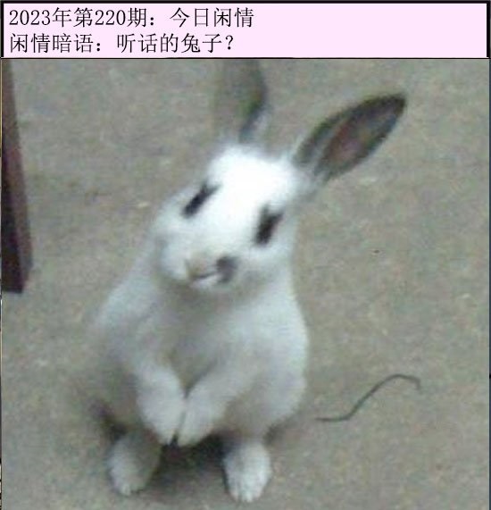 图片如未更新,可能正在上传中,或者开奖日再来看看,不便之处请谅解! 黄大仙手机站